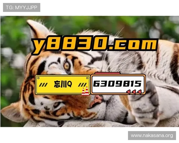 大发娱乐城官网官方平台，确保每一位玩家的资金安全与隐私保护措施到位